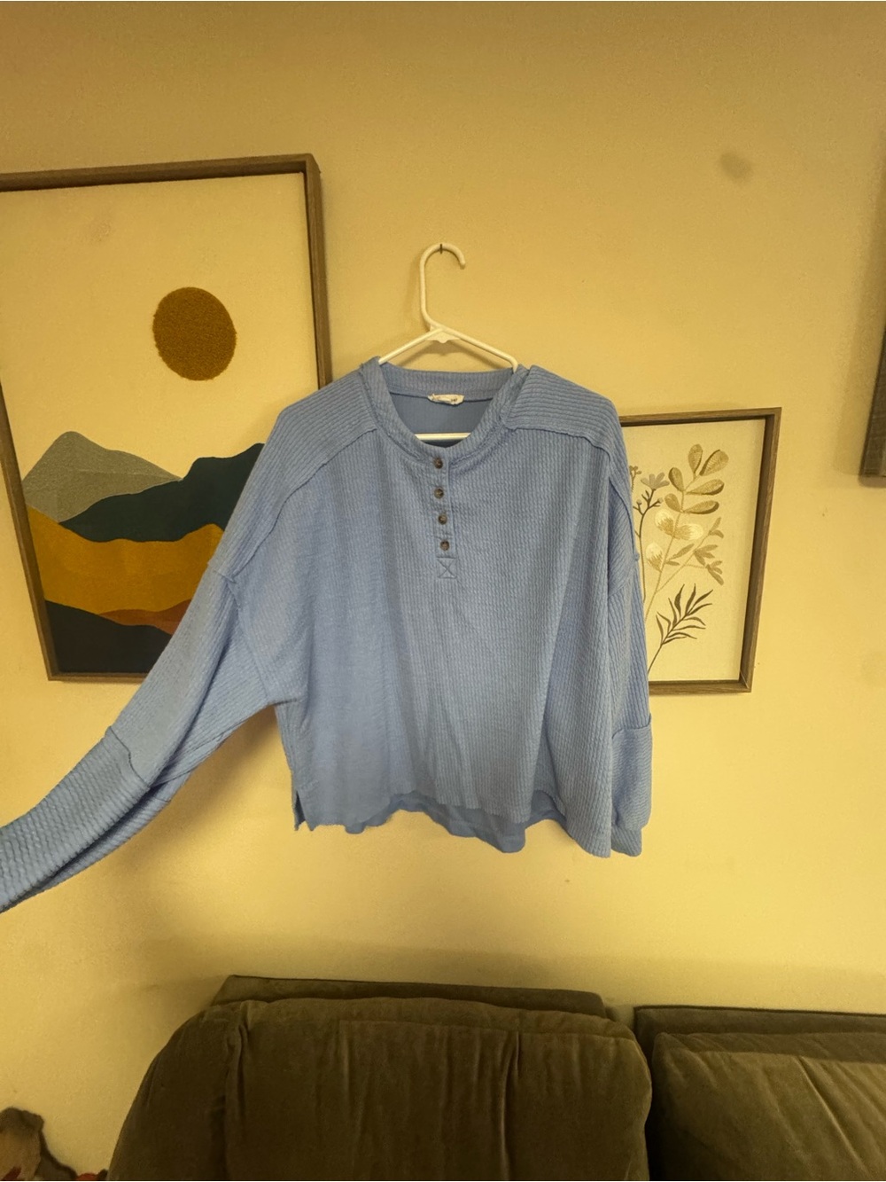 Blu Pepper Light Blue Waffle Knit Henley Sweatshirt